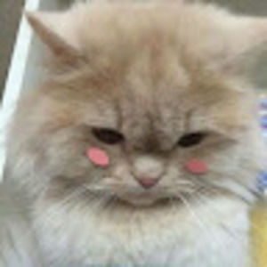 Meet your Posher, Naseha